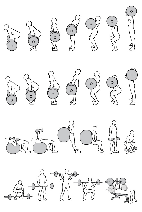 Vector-exercise-illustrations